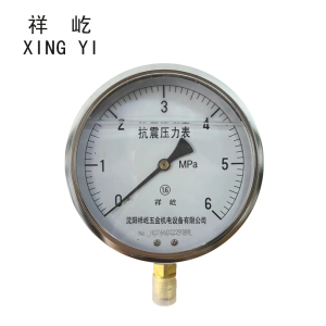 祥屹+耐震压力表检测定制型+YTN150+块