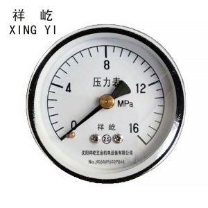 祥屹 压力表检测定制型 Y50Z 块