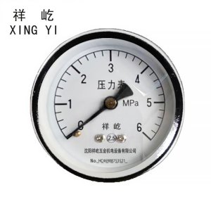 祥屹 压力表检测定制型 Y50Z 块