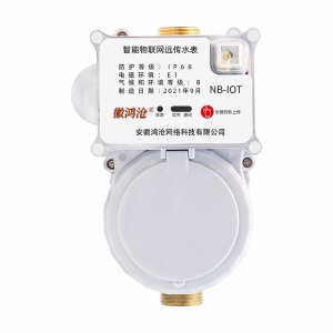 徽鸿沧智能物联网远传水表DN32