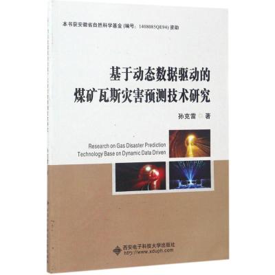 基于动态数据驱动的煤矿瓦斯灾害预测技术研究
