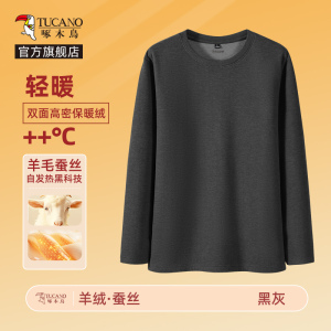 啄木鸟桑蚕丝打底衫男秋冬季2025新款圆领内搭长袖男士保暖内衣Y