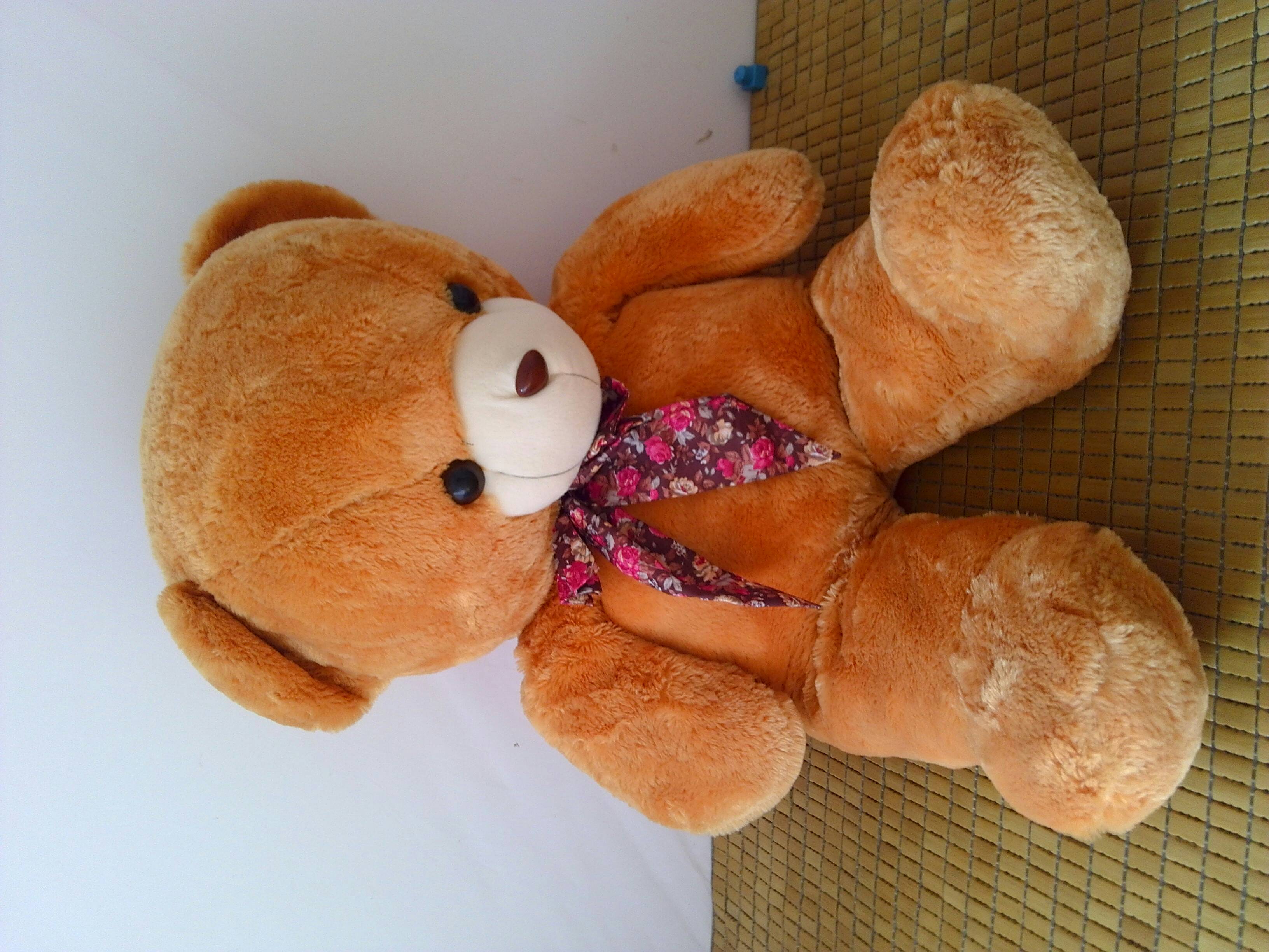 一米高熊宝宝找主人